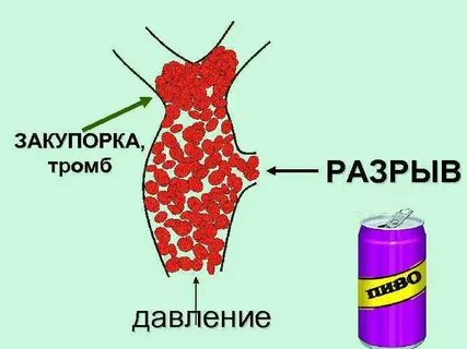 В какую ткань не заходят сосуды