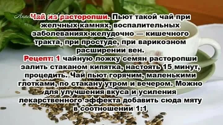 Польза для печени и желчного пузыря. Рецепты народной медицины. Рецепт от болезни. Чай для печени и желчного пузыря. Полезный чай для печени и желчного пузыря.