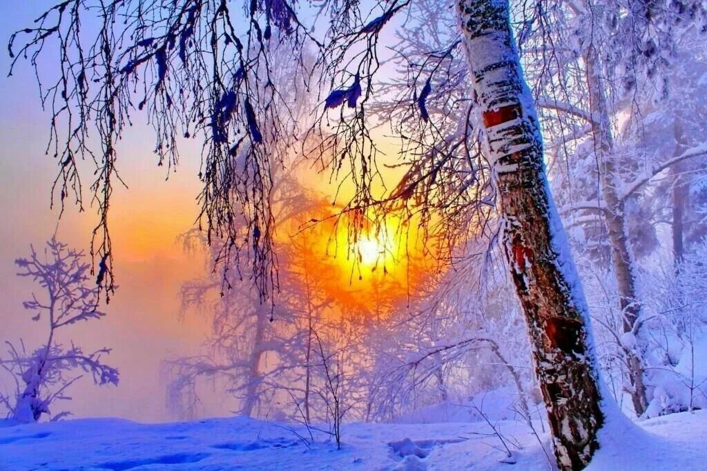 Февральский пейзаж. Зимнее утро. Солнечный зимний день. Зимняя красота.