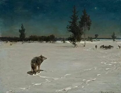 Охота на волка ночью