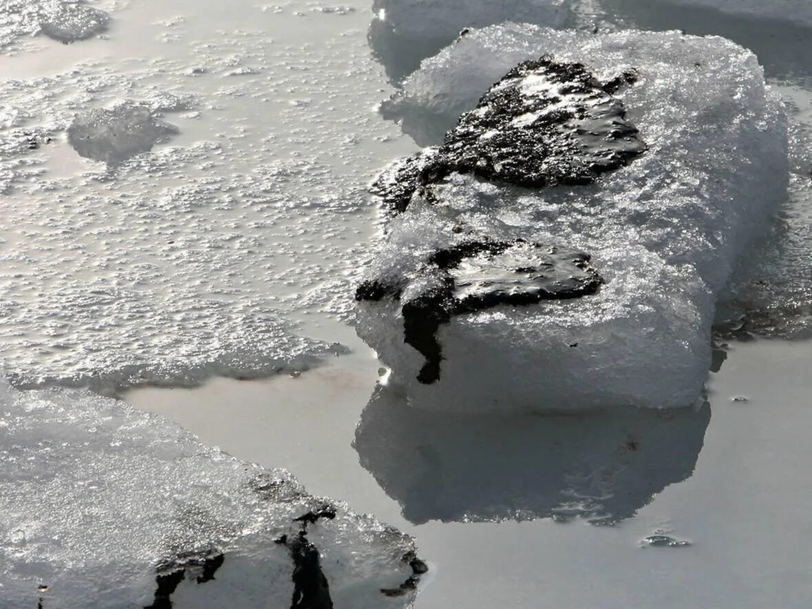 Грустный лед. Нефть во льдах. Нефтяное загрязнение Арктики. Разлив нефти в Арктике. Загрязнение Арктики нефтепродуктами.