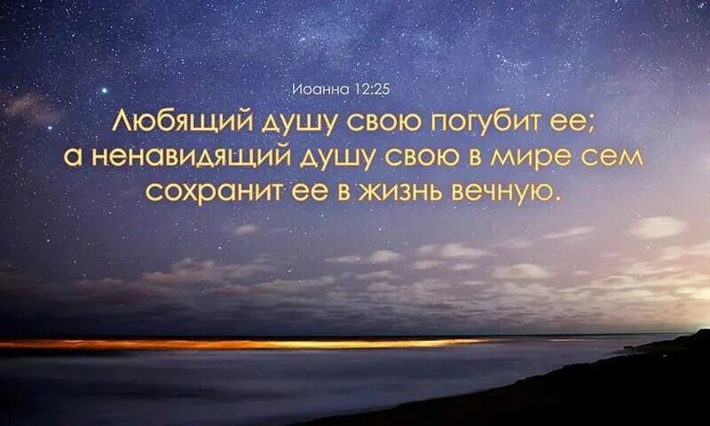 Презирать в душе. Любящий душу свою погубит ее. Любящий душу свою погубит ее а ненавидящий. Ненавидящий душу свою в мире сем, сохранит её в жизнь вечную. Как сберечь душу свою.