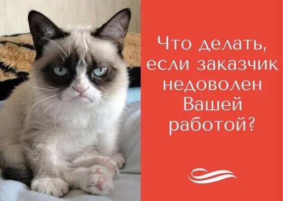 Я недоволен. Спорить не буду. Мемы недовольство. Мемы про кота бориса. Бедный йорик я знал его горацио.