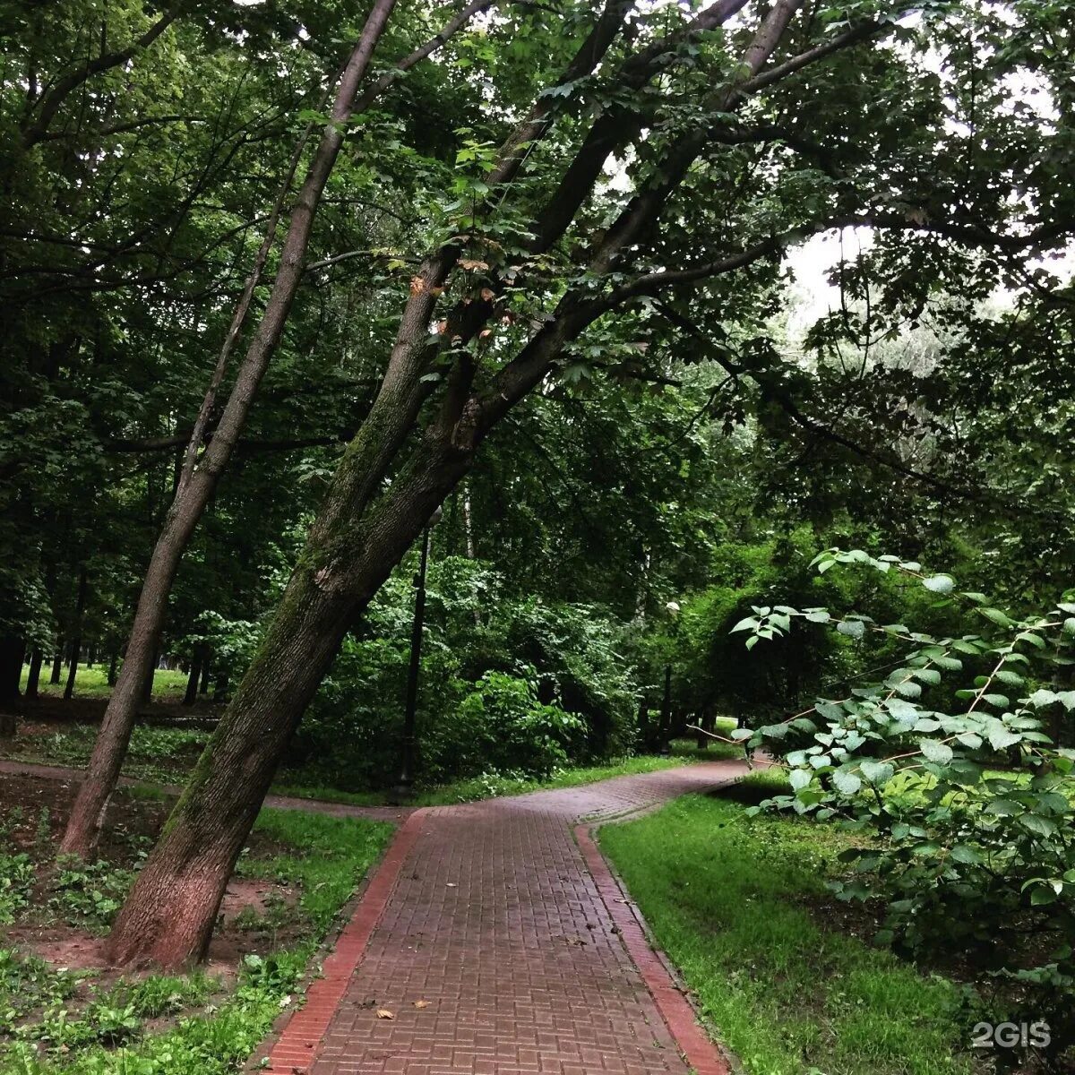 Петровский парк. Петровский парк Санкт-Петербург. Петровский парк МСК. Московская аллея Петровский парк. Петровский парк сайт парка