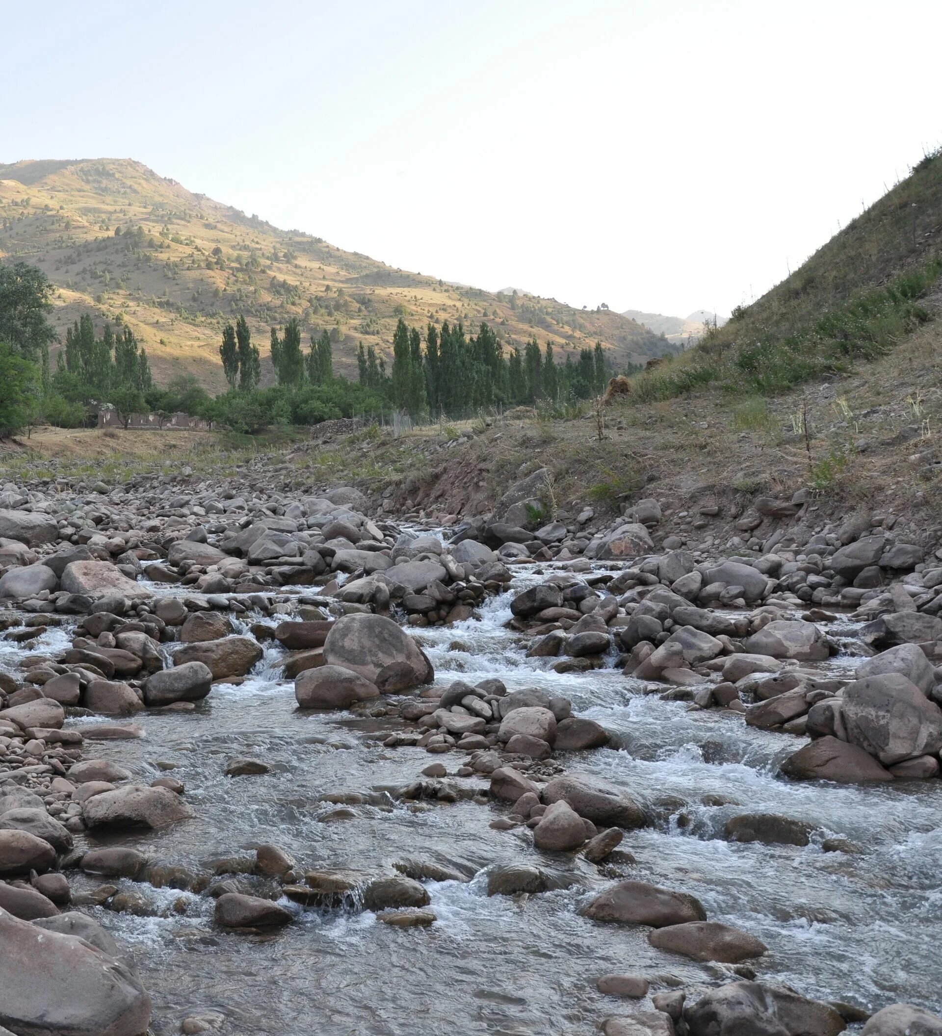 Яванская Долина Таджикистана. Поселок Яван Таджикистан. Река Явансу. Таджикистан Хатлонская область яванский район.