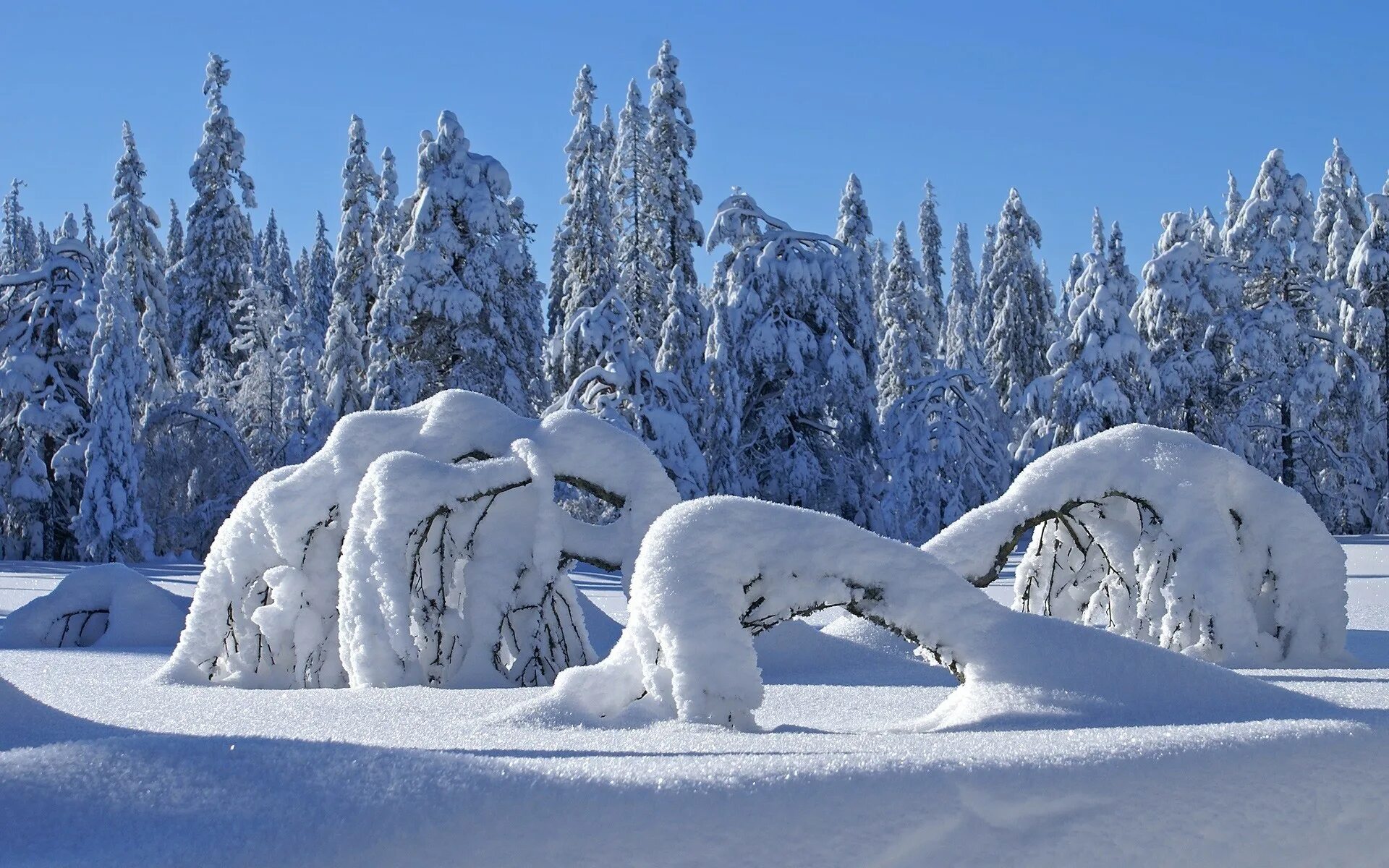 Какая цена зимней