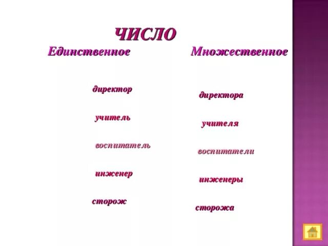 Сторожи множественное. Учитель множественное число. Множественное число слова учитель. Директоры или директора. Учитель во множественном числе как правильно.