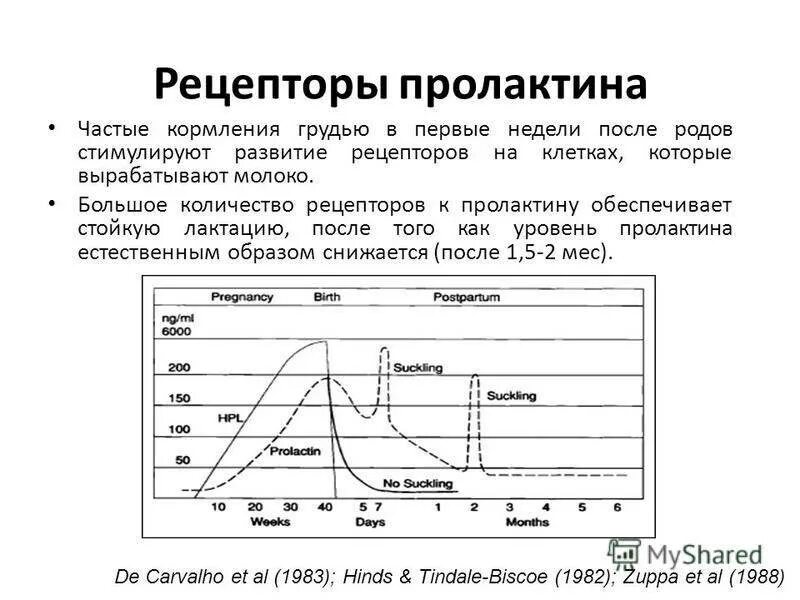 Пролактин диета. Норма пролактина при грудном вскармливании. Уровень пролактина при лактации. Пролактин при кормлении норма. Уровень пролактина при гв.