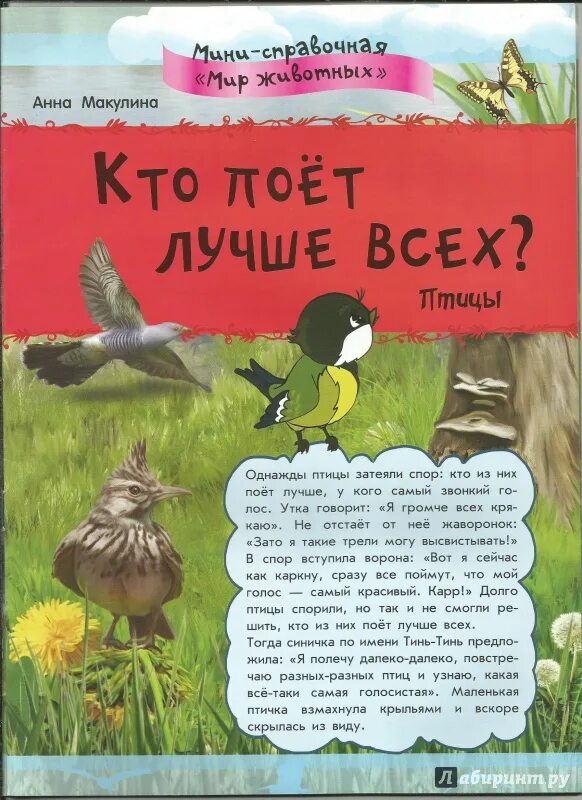 Книга как птицы спорили. Тинь Тинь птичка говорит. Какая птичка поет Тинь Тинь. Кто чем поет?.