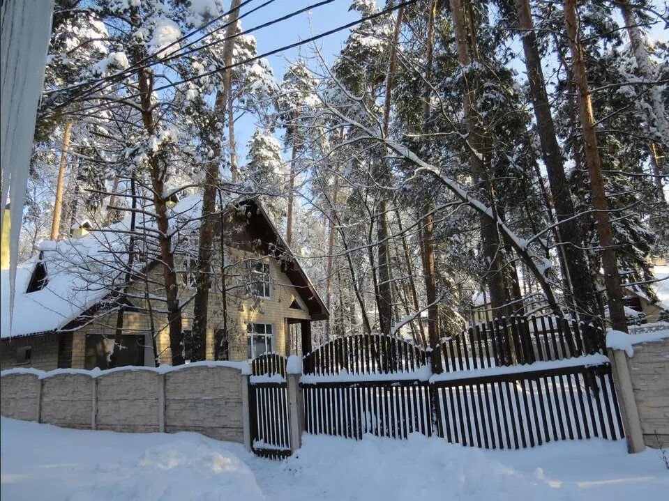 Летний театр малаховка - Фото