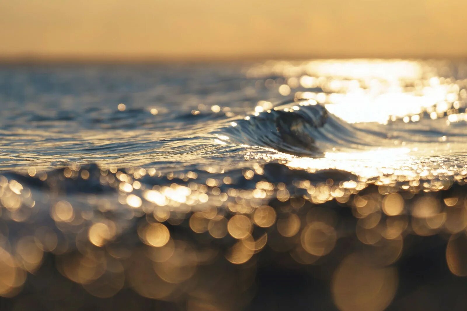 Море солнце. Море вода. Фон море. Солнечные блики на воде.