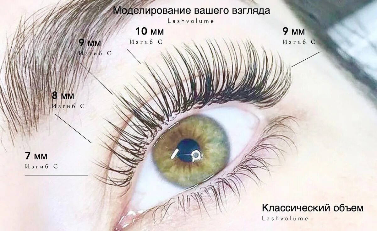 Натуральный эффект наращивания ресниц схема 2д. Классическое наращивание ресниц натуральный эффект схема. Схема натурального эффекта наращивания ресниц классика. Эффект натуральных ресниц 2 д схема. Как подобрать эффект наращивания