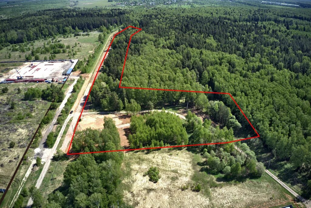 Земля в подмосковье. Ижс лесной. Земельные участки с соснами. Сосновый бор красноярск поселок. Ижс лесной.