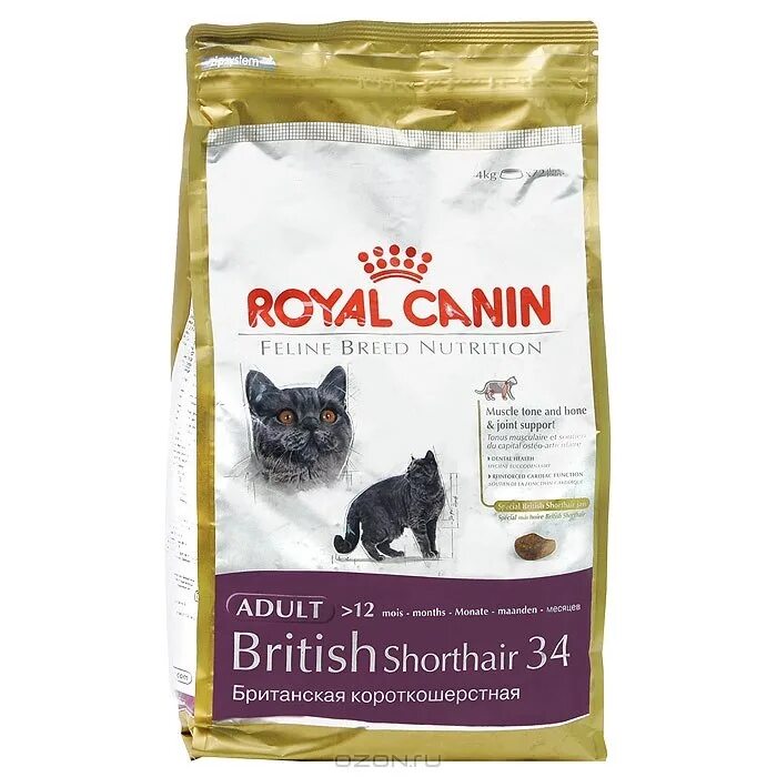 Корм для шотландских котят. Роял Канин Бритиш 13 кг. Корм Роял Канин для шотландских кошек. Роял Канин для кошек шотландской породы. Royal Canin British Shorthair домашняя птица.