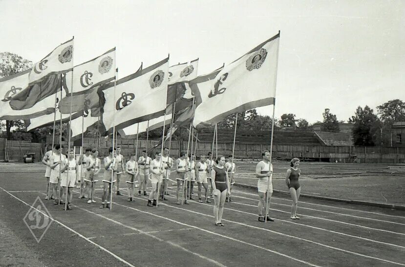 Society sports. Общество Динамо 1923. Спортивное общество Динамо СССР. Московское спортивное общество «Динамо» 1923. Динамо 1923 год.