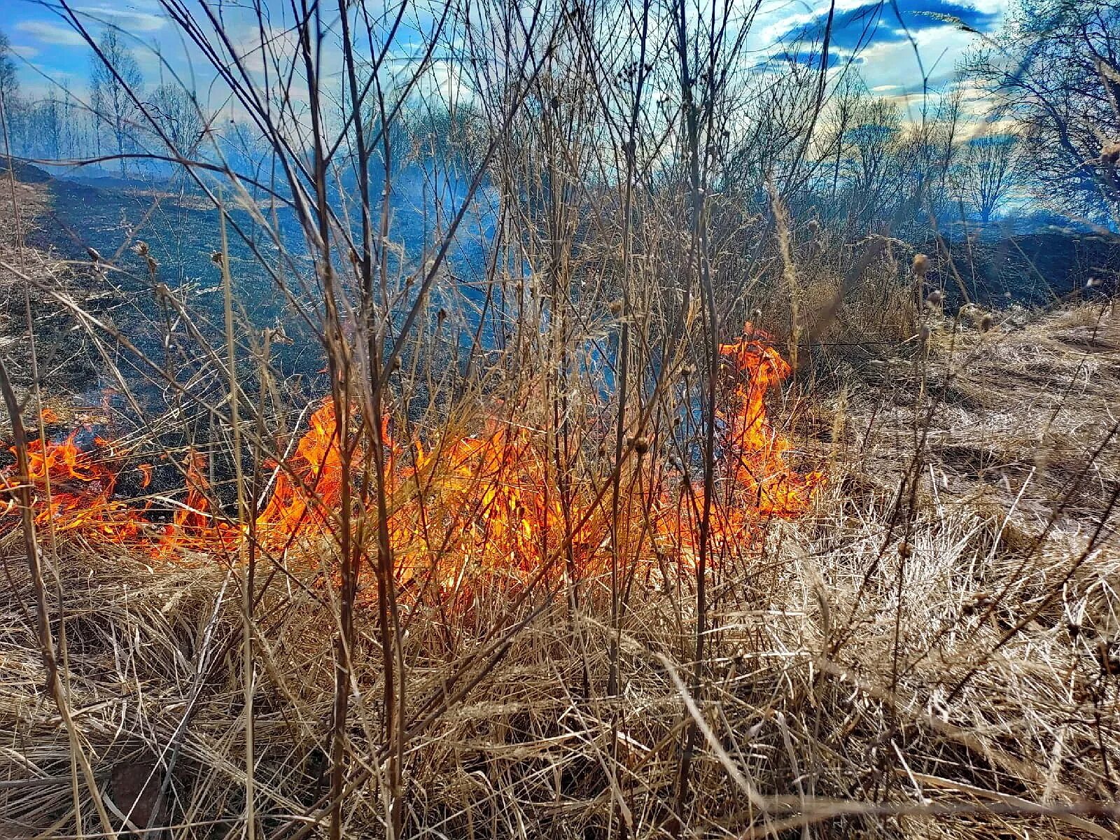 Пал травы МЧС. Пожар сухой травы. Весенние палы травы. Сжигание сухой растительности.