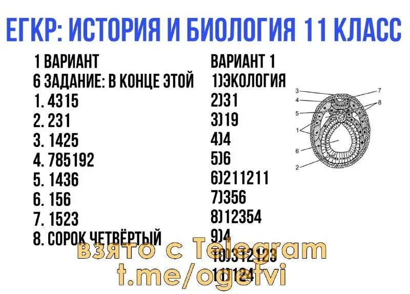 Егкр биология 11 класс 2025. Егкр биология 11 класс 2025