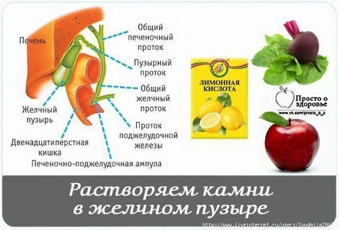 Что выводит печень. Продукты полезные для желчного пузыря. Желчегонные продукты. Желчегонные фрукты. Желчегонные продукты при застое желчи.