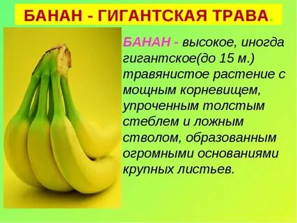 Дары старого и нового света сообщение