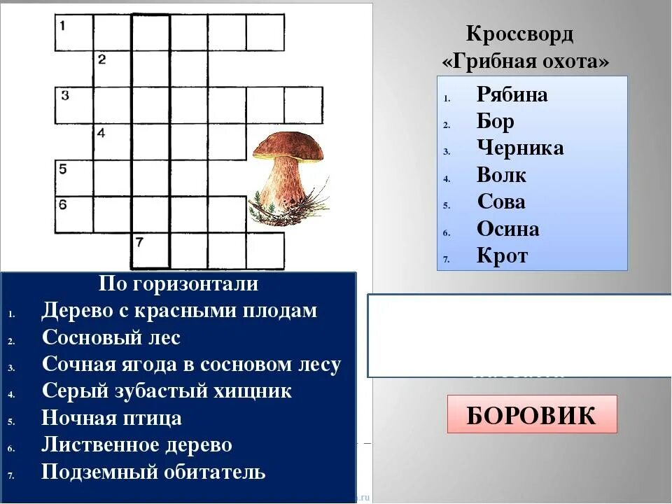 Тест грибы 7 класс с ответами. Кроссворд по биологии 5 класс на тему грибы. Кроссворд по биологии 5 класс царство грибов. Кроссворд грибы 5 класс биология. Кроссворд на тему грибы биология 5 класс.