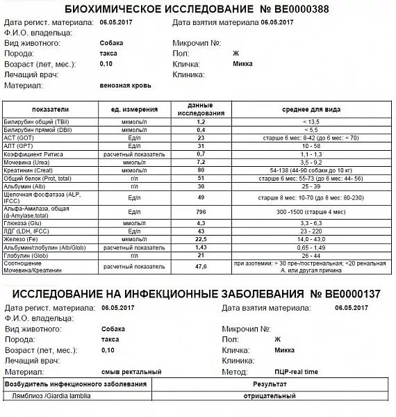 Щелочная фосфатаза в биохимическом анализе норма. Биохимический анализ крови амилаза норма. Что такое Альфа-амилаза в биохимическом анализе крови. Биохимический анализ кала нормы.