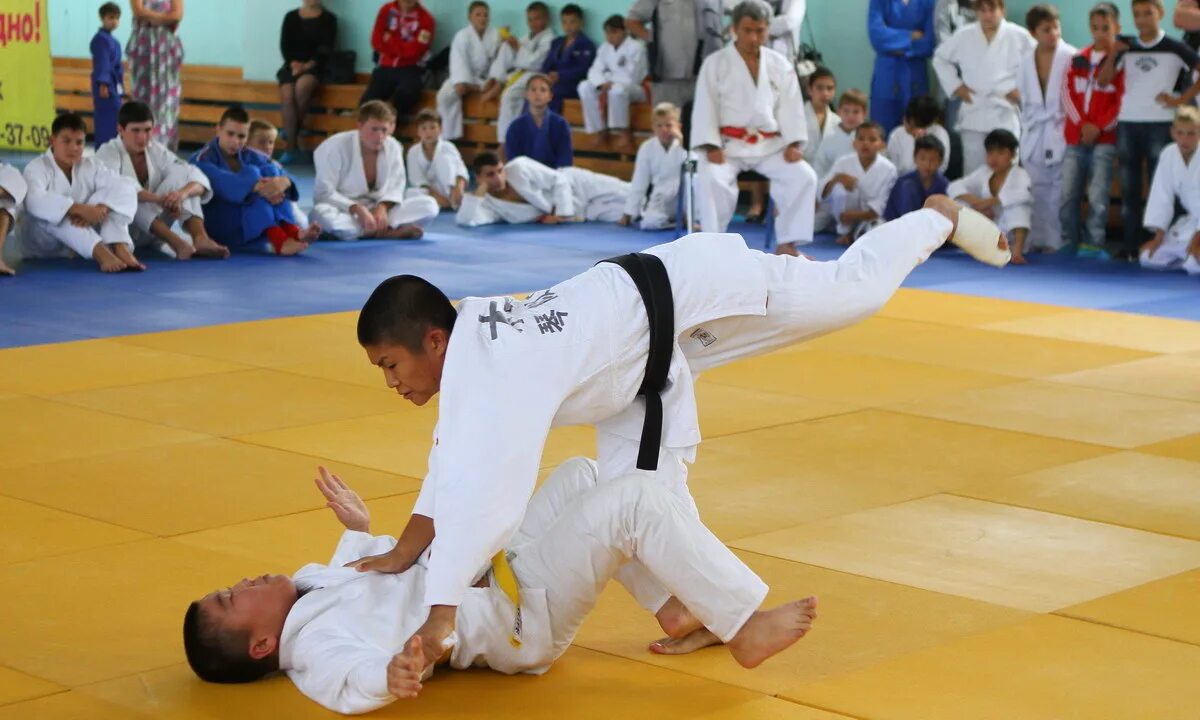 мудранов беслан дзюдо олимпиада. форумы дзюдо. салбашев влад дзюдо. форумы дзюдо. дина баллаева дзюдо.