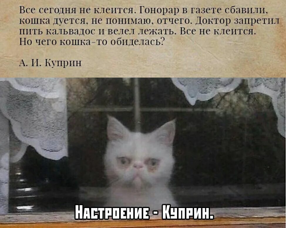 Почему он сегодня не приходит. Куприн кошка обиделась. Куприн все сегодня не клеится. А кошка то чего обиделась. Настроение Куприн.