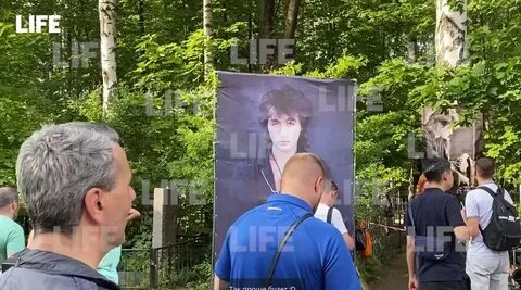 Сколько было бы цою в 2024