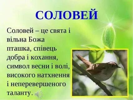 Соловей мой соловей голосистый соловей
