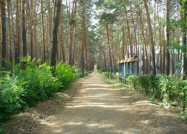 Прииртышье омск сайт