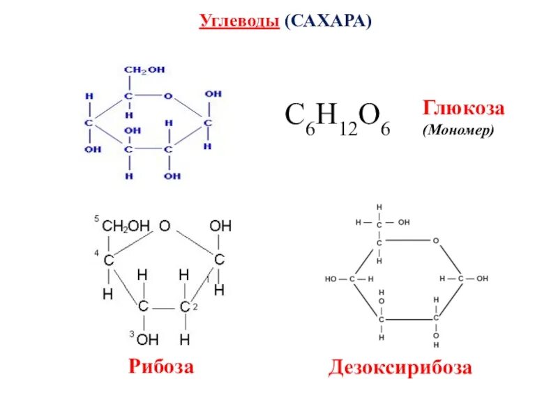 Углевод Глюкоза формула. Глюкоза формула мономера. Глюкоза формула полимер. Глюкоза и сахароза мономеры. Рибоза какой углевод