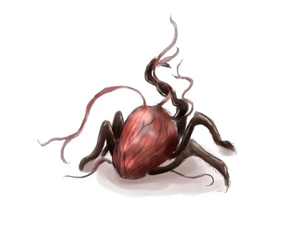 Сердце мрака. Сердце мрака. Сердце мрака. В сердце тьмы. Сердце мрака.