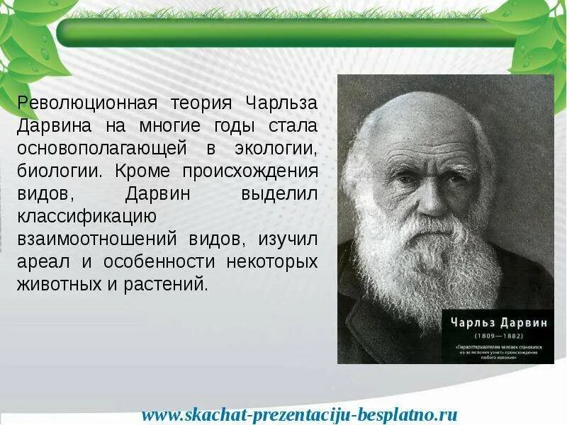 Дарвин портрет. Дарвин портрет. Великие экологи. Дарвин презентация. Дарвин вклад в биологию.