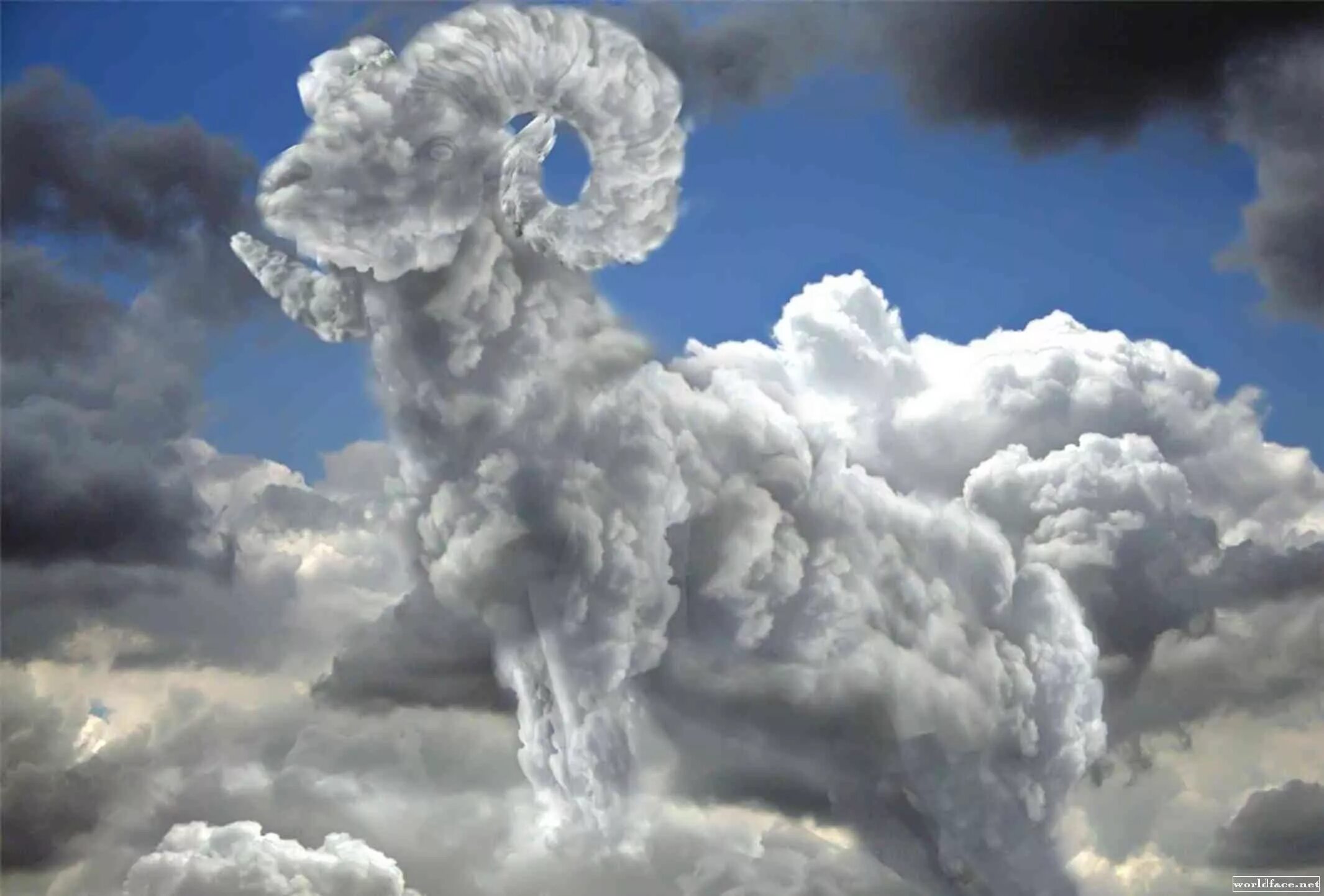Необычные облака. Причудливые облака в небе. Фигуры из облаков. Облака в форме животных.