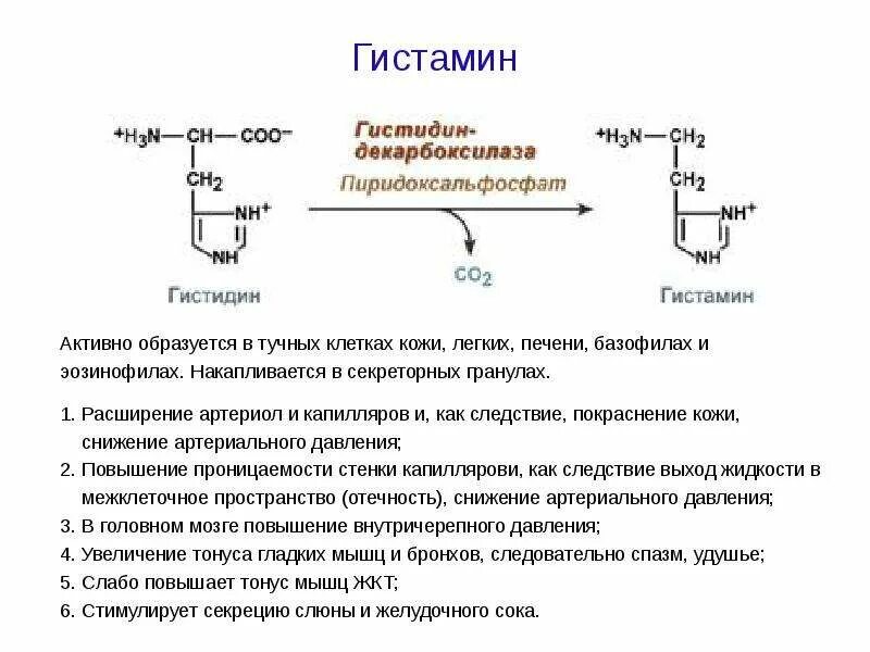 Схему реакции образования гистамина. Синтез гистамина схема. Основные функции гистамина. Гистамин гормон функции.