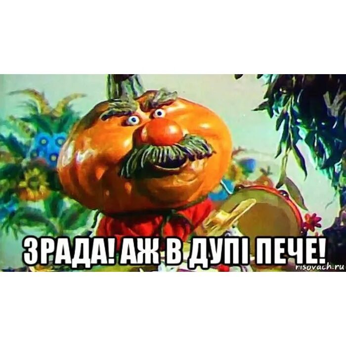 Дупа перевод