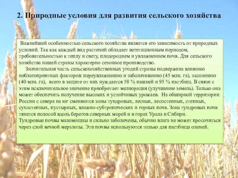 Ограничения для ведения сельского хозяйства в тайге. Природные условия для развития сельского хозяйства. Характеристика сельского хозяйства. Особенности растениеводства. Развитие сельского хозяйства.