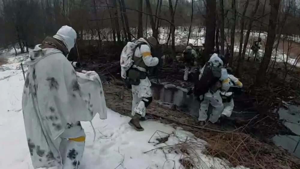 Уничтожение ДРГ В Брянской области. Прорыв ДРГ В Брянской области. Диверсанты в Брянской области. Нападение ДРГ В Брянской области. Нападение диверсантов