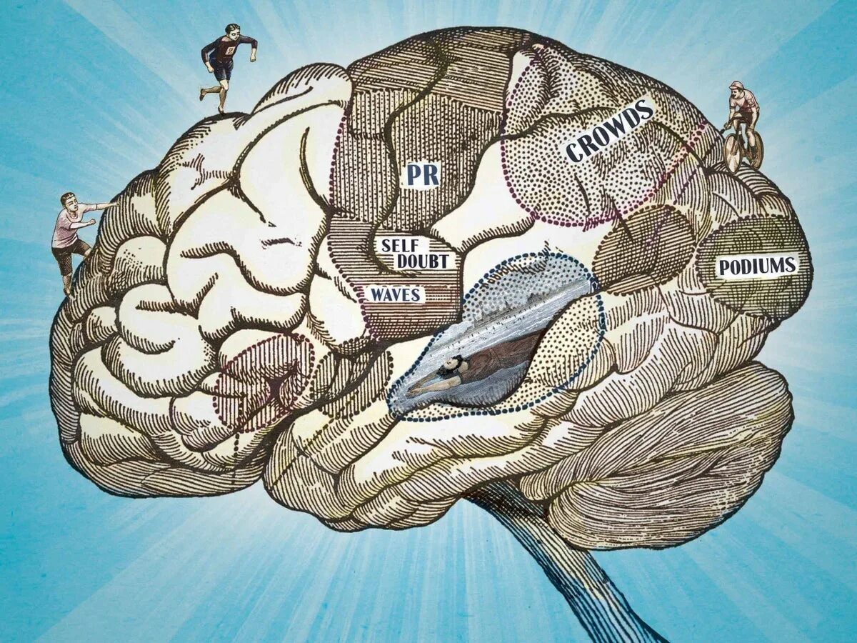 Aspects for as. Мозг психология. психология спорта. sports psychologist. aspects brain.