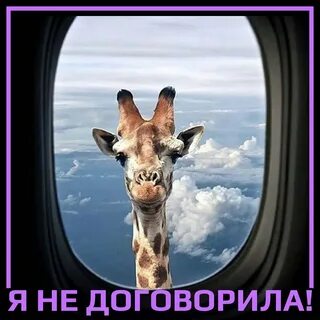 Даже не договорила