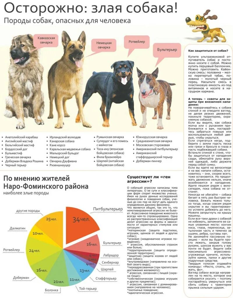 Статистика нападений собак. Статистика по укусам собак по породам. Опасные породы собак список. Потенциально опасные породы собаа. Самые опасные породы собак.