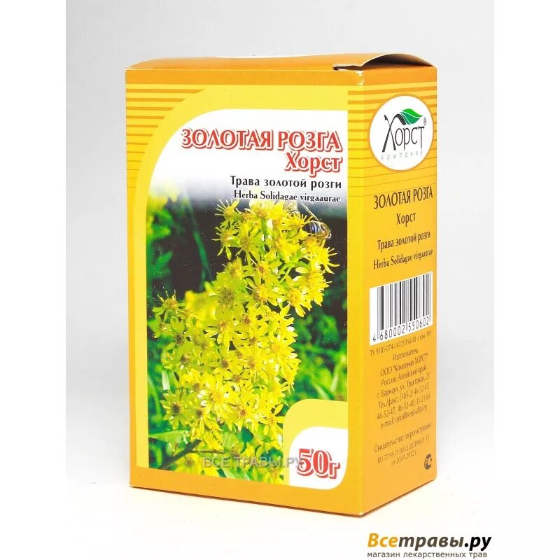 золотая розга (золотарник). золотарник канадский золотая розга. золотая розга растение. золотая розга трава. золотарник европейский трава.