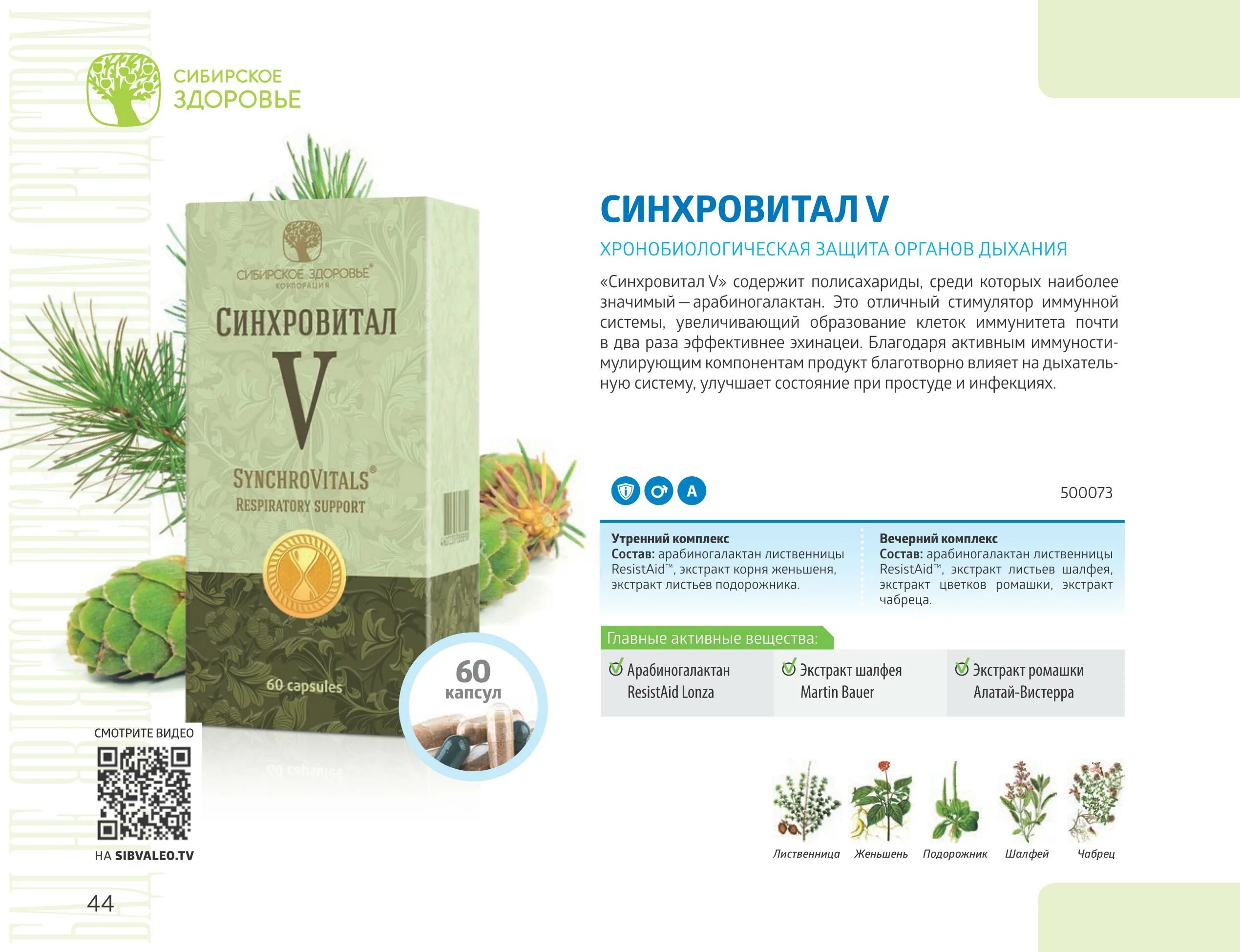 Синхровитал 6 сибирское здоровье. Синхровитал 4 сибирское здоровье. Синхровитал ii siberian wellness. Синхровитал ii отзывы. Синхровитал ii отзывы.