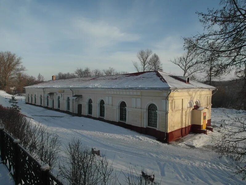 Мышега Алексин. Г. Алексин (Алексинский район). Алексинский краеведческий музей. Алексин город Тульская область.