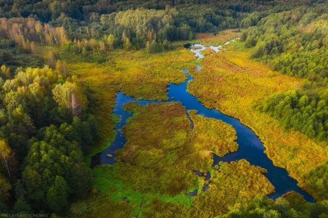 Центр.Мир пейзажей