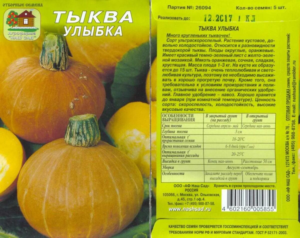 Тыква раннеспелая кустовая сорта. Тыква крупноплодная улыбка. Кустовые тыквы сорта для Подмосковья для открытого грунта.