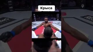 Жестче мести