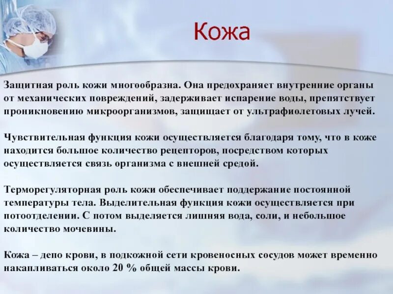 Депо крови в организме. Депо крови функция кожи. Чувствительная функция кожи. Защитная функция кожи. Функции кожи.