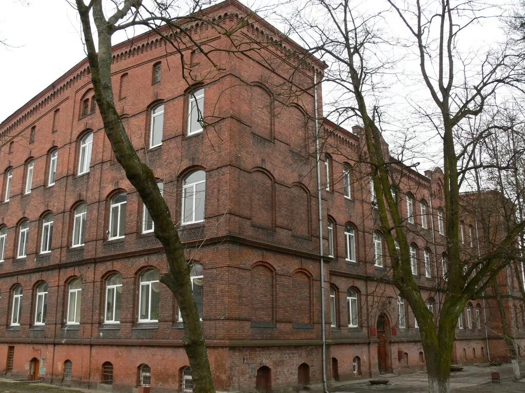 колледж в городе советск калининградской области. технологический колледж г советска калининградской области. технологический колледж советск. техникум советск. техникум советск.