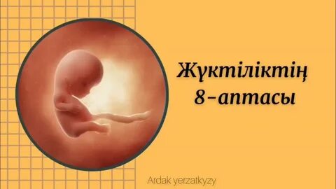 Сквирт порно көру